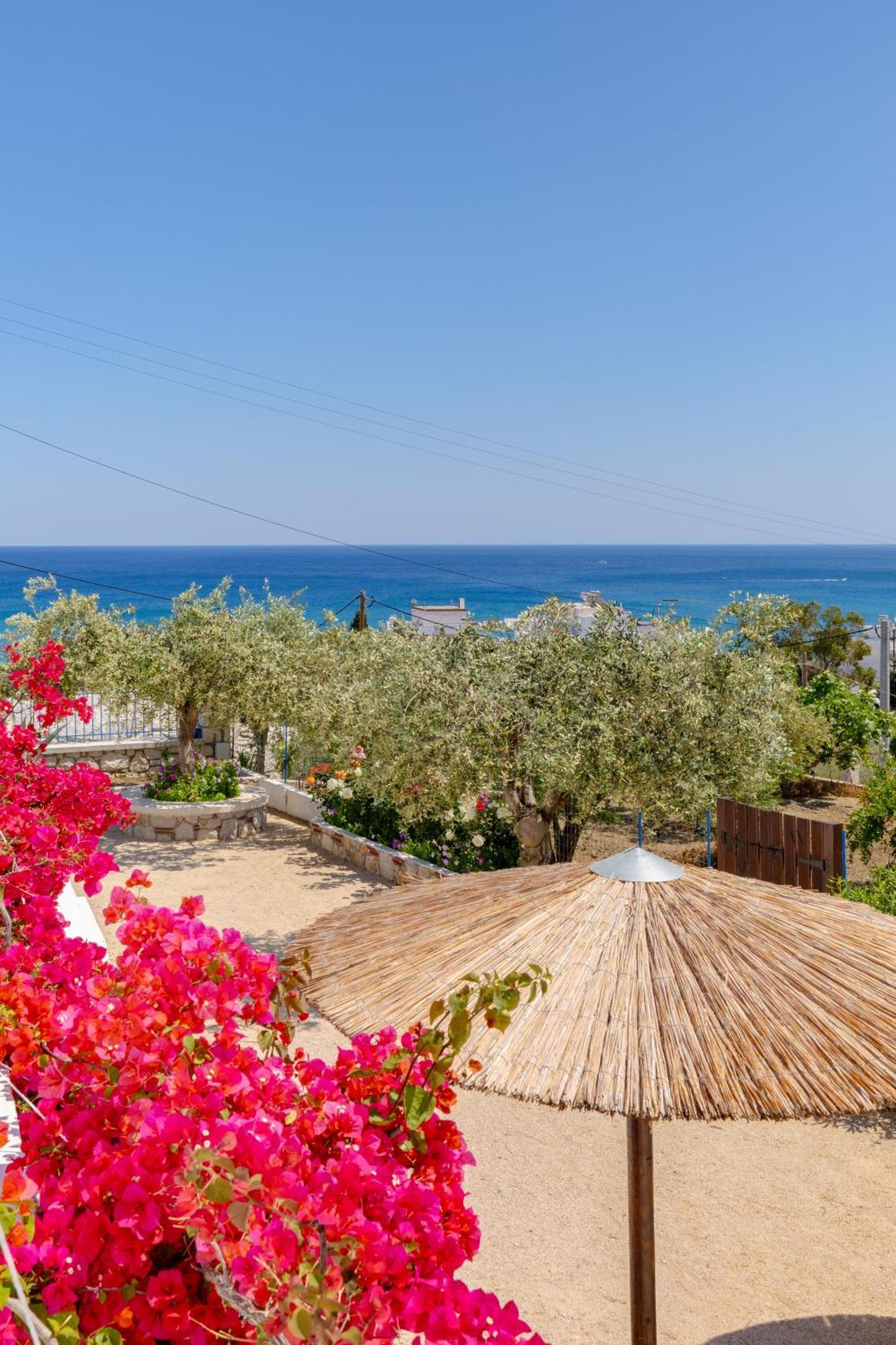 Endless Blue Stegna Villa Archangelos  Bagian luar foto